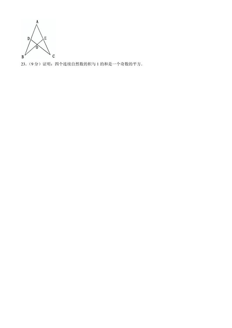 河南省洛阳市宜阳县2024~2025学年八年级(上)期中数学试卷(含答案)第3页