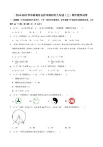 2024～2025学年湖南省长沙市浏阳市九年级(上)期中数学试卷(含详解)