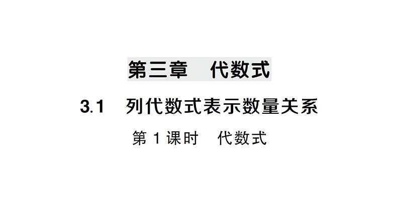 初中数学新人教版七年级上册3.1第1课时 代数式作业课件(2024秋)第1页