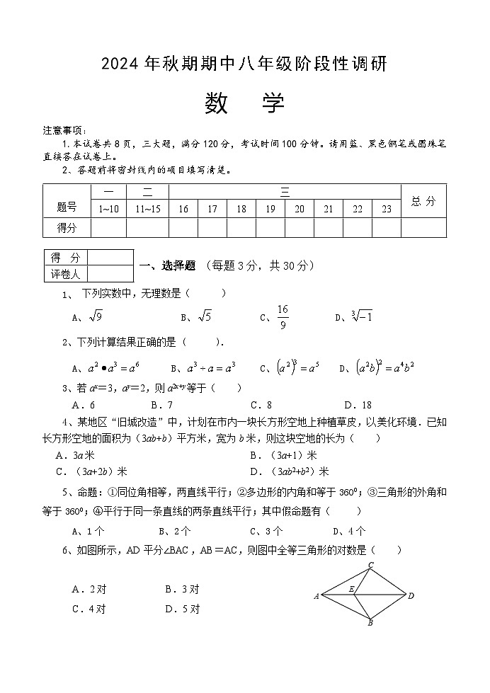 河南省南阳市淅川县2024-2025学年八年级上学期期中阶段调研数学试卷01