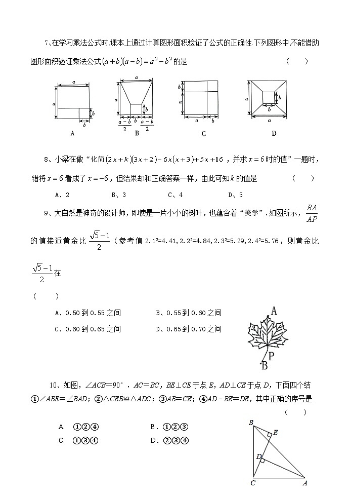 河南省南阳市淅川县2024-2025学年八年级上学期期中阶段调研数学试卷02
