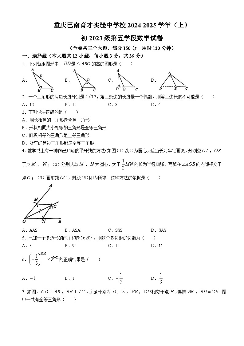 重庆巴南育才实验中学校2024-2025学年八年级上学期期中考试数学试卷(无答案)第1页