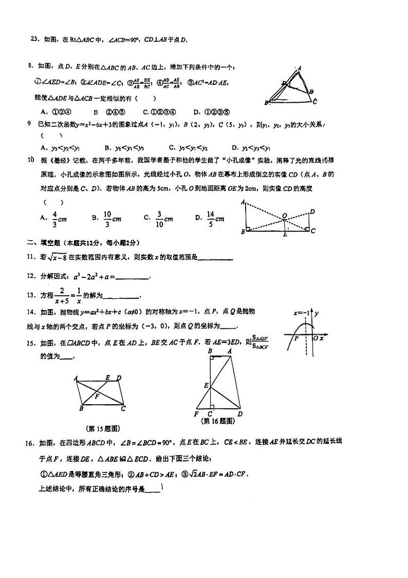 2024北京牛栏山一中实验学校初三(上)期中数学试题 无答案第2页