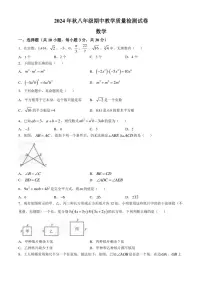 河南省驻马店市上蔡县2024～2025学年八年级(上)期中素质测试数学试卷(含答案)
