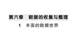 初中数学新北师大版七年级上册6.1 丰富的数据世界作业课件2024秋