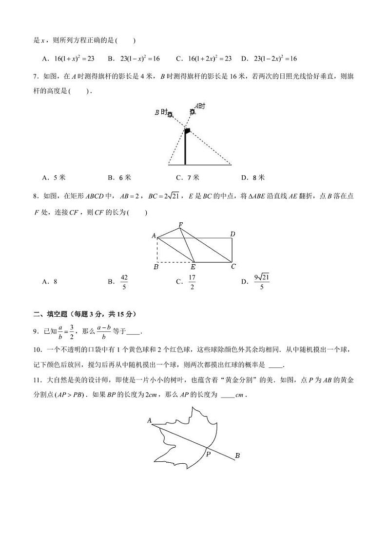 广东省深圳市南山区育才教育集团2024-2025学年上学期九年级期中考试数学试题02