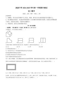 广东省深圳市深圳高级中学2024-2025学年九年级上学期期中考试数学试题