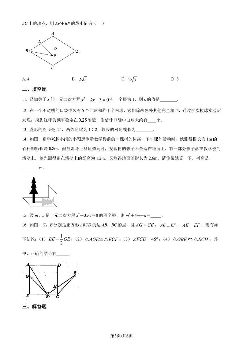 福建宁德博雅培文学校2023-2024学年九年级上学期月考数学试题(原卷版)第3页