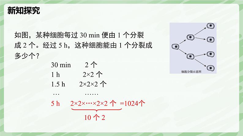 2.4 有理数的乘方(第1课时)-七年级数学上册同步备课课件(北师大版2024)第5页