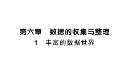 初中数学新北师大版七年级上册6.1 丰富的数据世界课堂作业课件2024秋