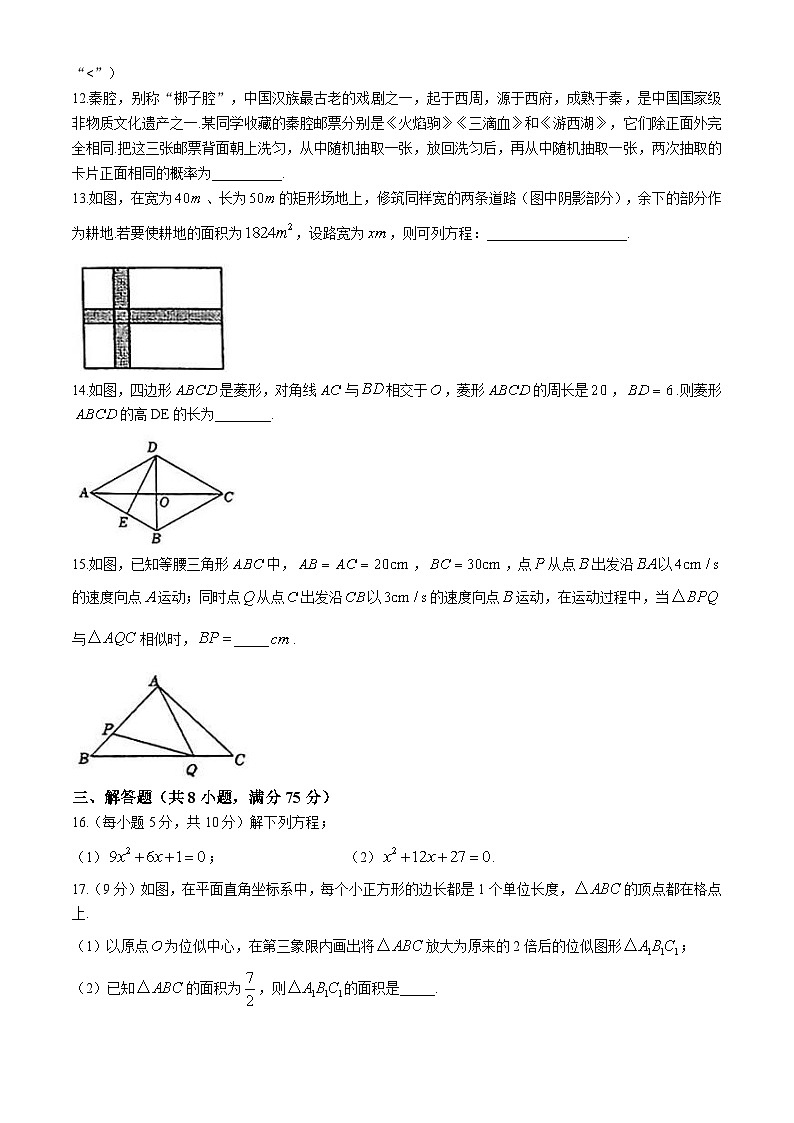 河南省郑州市第十九初级中学2024—2025学年上学期九年级数学期中考试卷(无答案)03