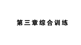 初中数学新北师大版七年级上册第三章 整式及其加减综合训练课件2024秋