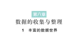 初中数学新北师大版七年级上册6.1 丰富的数据世界作业课件2024秋季学期