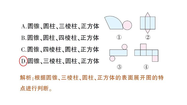 初中数学新北师大版七年级上册1.2第2课时 棱柱、圆柱、圆锥的展开与折叠作业课件2024秋季学期第3页