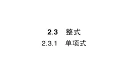 初中数学新华东师大版七年级上册2.3.1 单项式作业课件2024秋