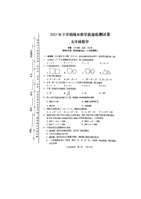2023-2024学年湖南省衡阳市衡南县九年级（上）期末数学试卷