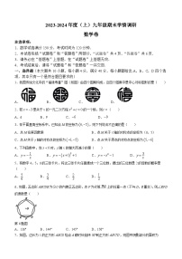 2023-2024学年安徽省阜阳市颍州区九年级（上）期末数学试卷