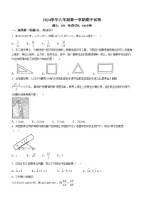 上海市第三女子初级中学2024-2025学年九年级上学期数学期中 试卷(无答案)