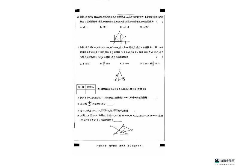 河北省沧州市南皮县桂和中学2024-2025学年八年级上学期11月期中数学试题第3页