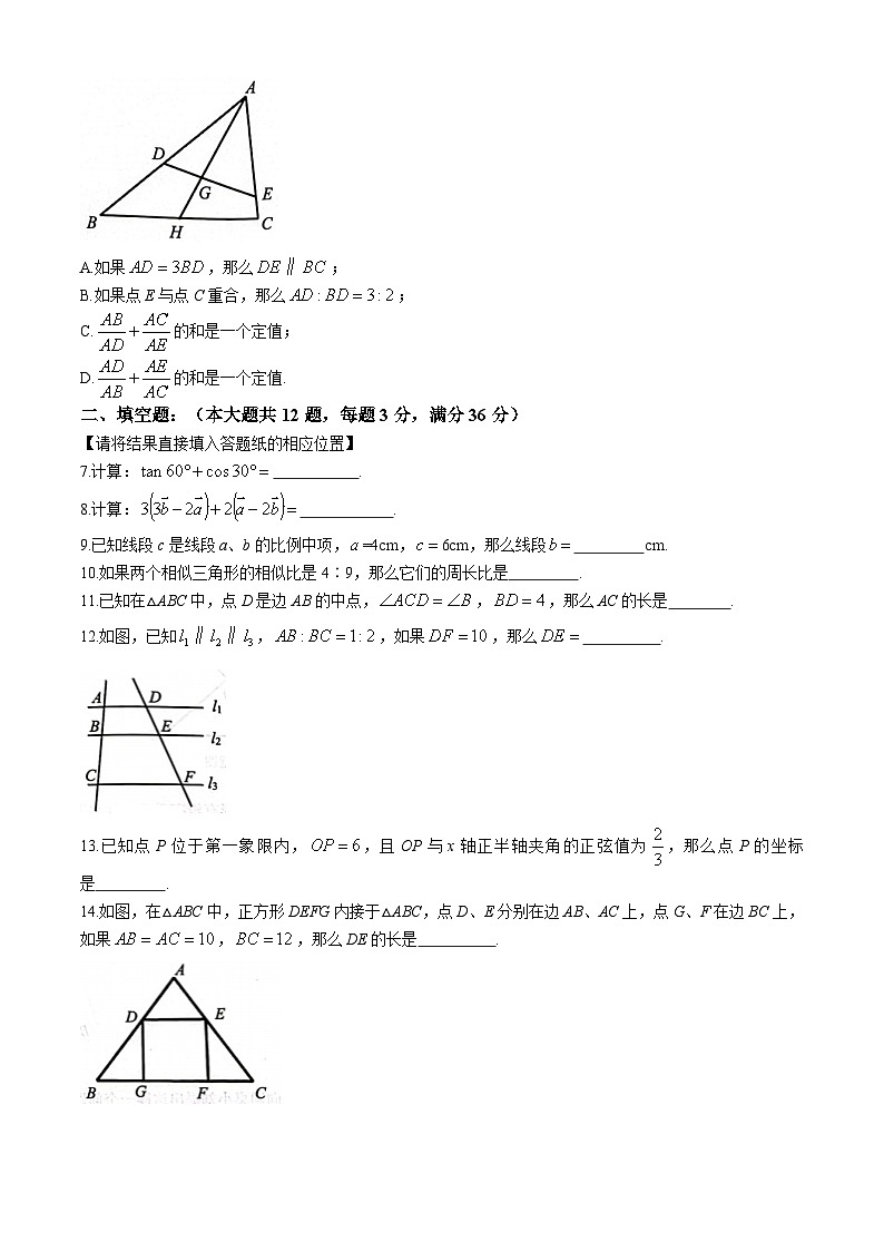 上海市杨浦区2024-2025学年八年级上学期数学期中试卷(五四学制)(无答案)第2页