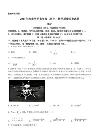 广西柳州市2024～2025学年七年级(上)期中数学试卷(含答案)