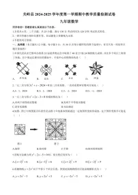 贵州省安顺市关岭布依族苗族自治县2024~2025学年九年级(上)期中数学试卷(含答案)