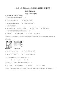 黑龙江省哈尔滨市第十七中学校2024～2025学年八年级(上)期中检测数学试卷(含答案)