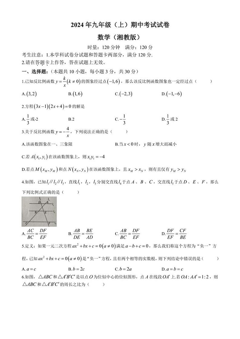 湖南省娄底市娄星区2024—2025学年八年级(上)数学期中试卷(含答案)01