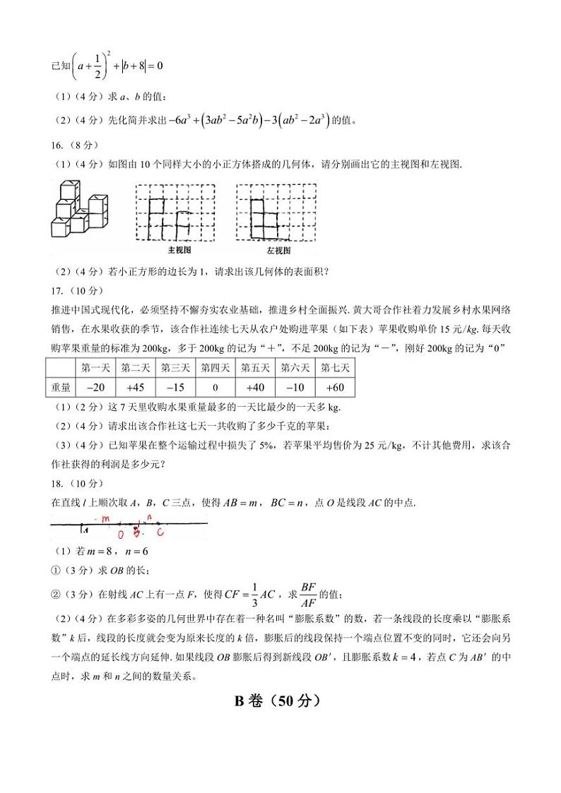 四川省成都市锦江区师一学校2024~2025学年七年级(上)数学期中试卷(含答案)第3页
