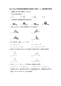 2023-2024学年陕西省渭南市大荔县八年级(上)期末数学试卷