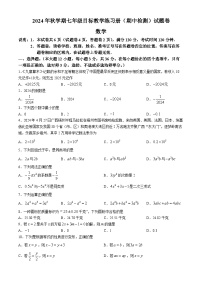 廣西壯族自治區(qū)梧州市蒼梧縣2024—2025學年七年級上學期11月期中數(shù)學試卷