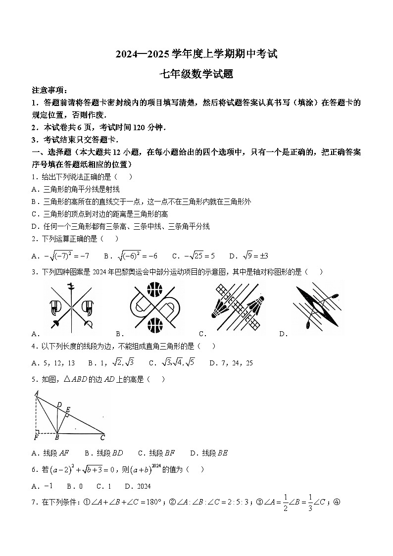 山东省泰安市肥城市2024-2025学年七年级上学期11月期中考试数学试题01