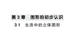 初中数学新华东师大版七年级上册3.1 生活中的立体图形作业课件2024秋