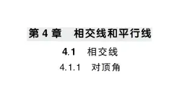 初中数学新华东师大版七年级上册4.1.1 对顶角作业课件2024秋