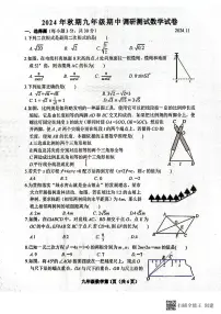 河南省南阳市镇平县2024-2025学年九年级上学期11月期中数学试题