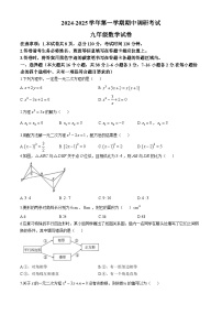 河北省保定市清苑区2024-2025学年九年级上学期11月期中考试数学试题