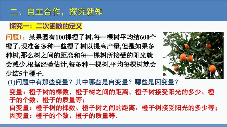 北师大版九年级数学下册课件 2.1 二次函数第5页