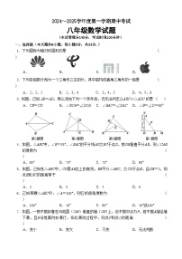 江苏省徐州市新沂市2024-2025学年八年级上学期11月期中考试数学试题