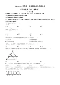 2024～2025学年河北省石家庄市八年级(上)数学期中试卷(含答案)