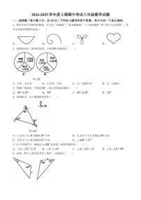 2024～2025学年河南省周口市扶沟县八年级(上)期中数学试卷(含答案)