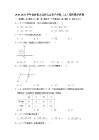 2023-2024学年云南省文山州文山市八年级(上)期末数学试卷
