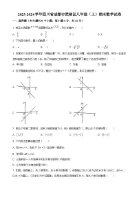 四川省成都市武侯区2023-2024学年八年级上学期期末数学试题（原卷版）