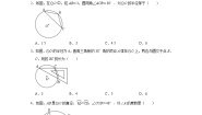 初中数学鲁教版（五四学制）（2024）九年级下册4 圆周角和圆心角的关系练习题