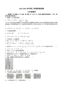 山东省临沂市兰陵县2023-2024学年七年级上学期期末数学试题(无答案)