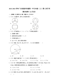 2023-2024学年广东省惠州市惠阳一中九年级（上）第三次月考数学试卷（12月份）