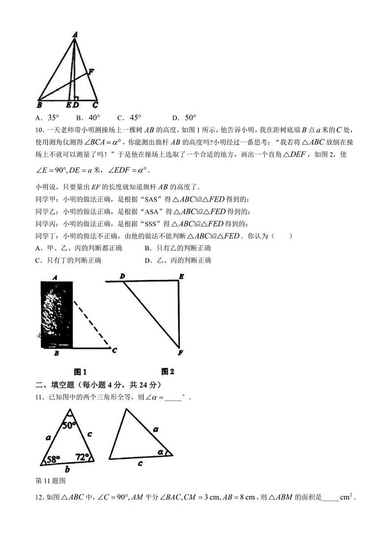 山东省泰安市岱岳区2024~2025学年七年级(上)期中数学试卷(含答案)第3页