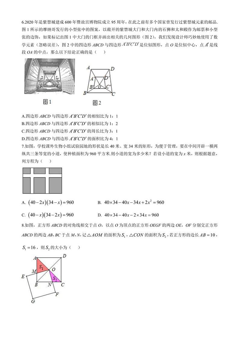 四川省成都市青羊区树德中学2024—2025学年九年级(上)期中数学试卷(含解析)02