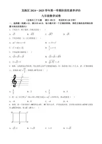 福建省漳州市龙海区2024～2025学年九年级(上)期中测评数学试卷(含答案)