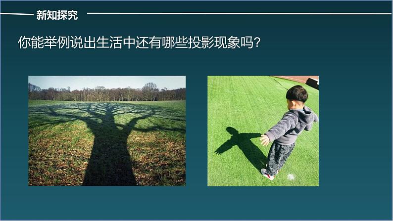 初中数学北师大版九年级上册 5.1 投影 课件第5页