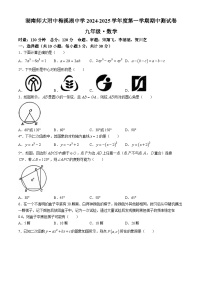 湖南省長(zhǎng)沙市湖南師大附中梅溪湖中學(xué)2024-2025學(xué)年九年級(jí)上學(xué)期期中考試數(shù)學(xué)試卷(無(wú)答案)